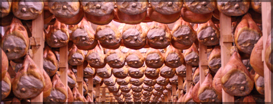 prosciutto crudo di parma